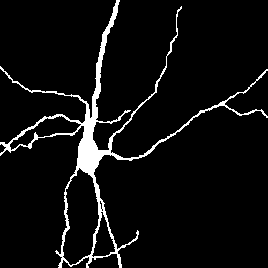 many different musings.